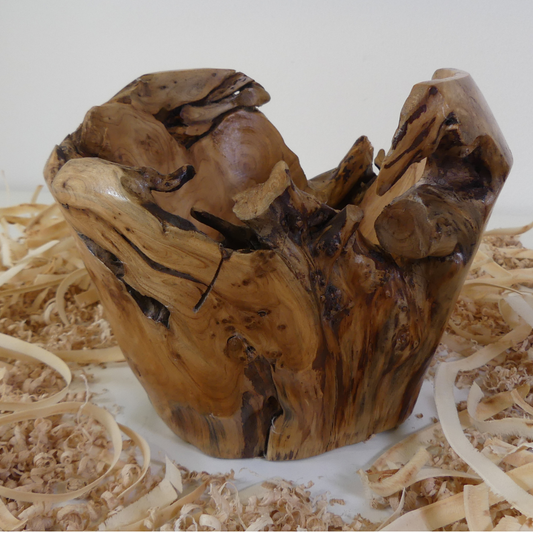 Tour, Bois et Chat. Pot tourné à la main en souche de thuya, finition huile de tung et cire. 3 pièces uniques disponibles. Fabrication artisanale en France.