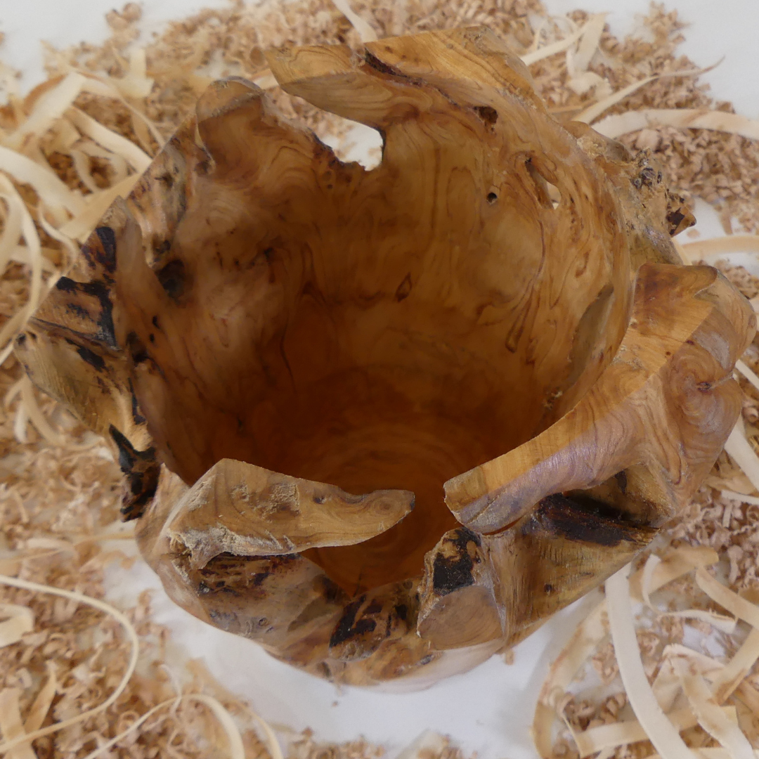Tour, Bois et Chat. Pot tourné à la main en souche de thuya, finition huile de tung et cire. 3 pièces uniques disponibles. Fabrication artisanale en France.