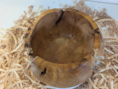 Pot en Thuya – Bord Naturel (6-02-06-15)