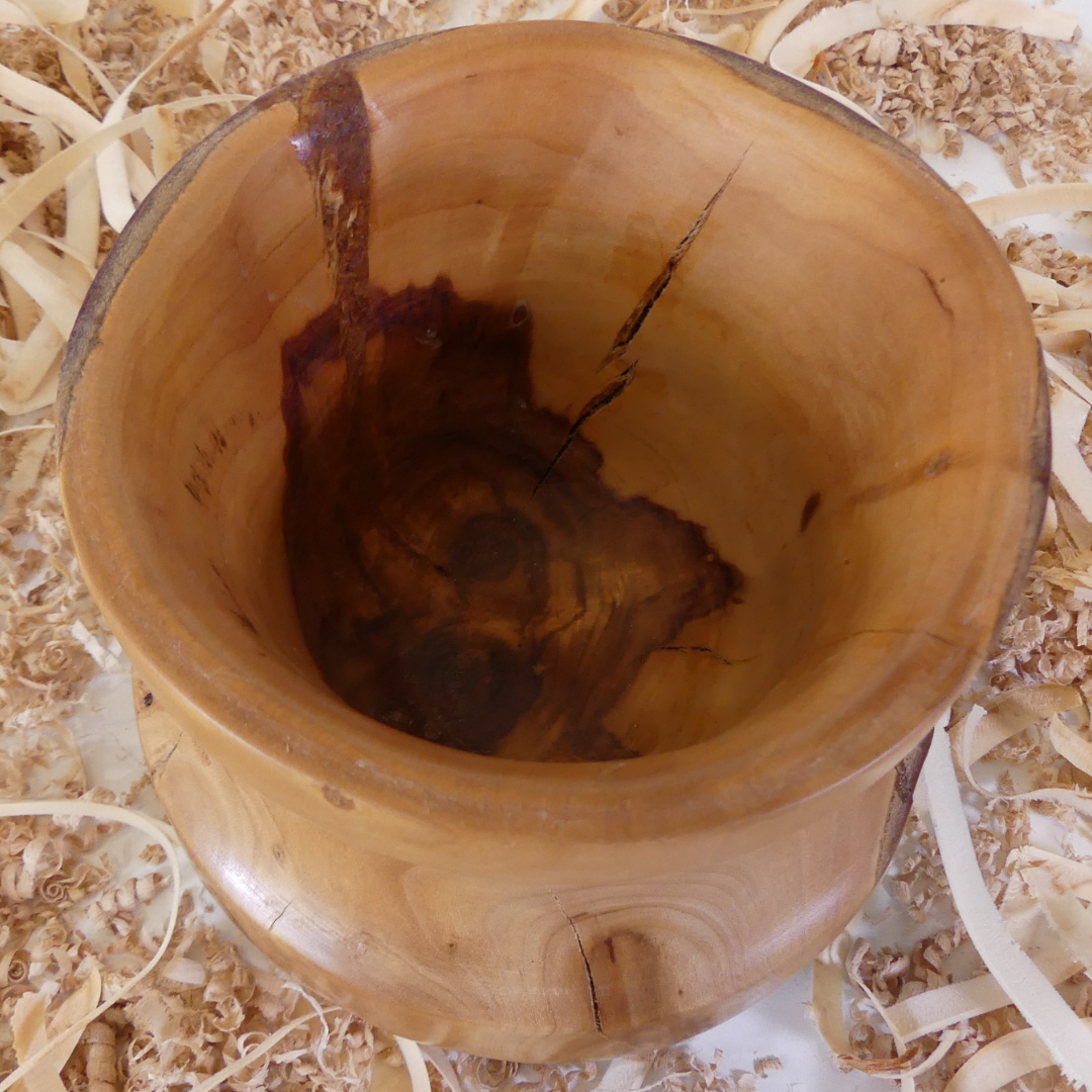 Pot en abricotier (6-02-13-6)