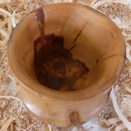 Pot en abricotier (6-02-13-6)