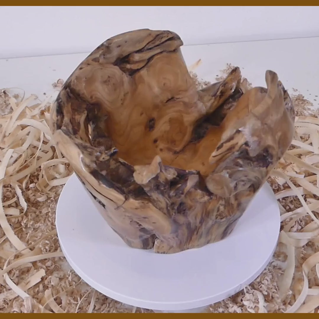 Tour, Bois et Chat. Pot tourné à la main en souche de thuya, finition huile de tung et cire. 3 pièces uniques disponibles. Fabrication artisanale en France.
