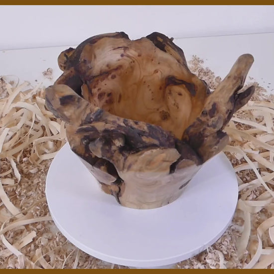 Tour, Bois et Chat. Pot tourné à la main en souche de thuya, finition huile de tung et cire. 3 pièces uniques disponibles. Fabrication artisanale en France.