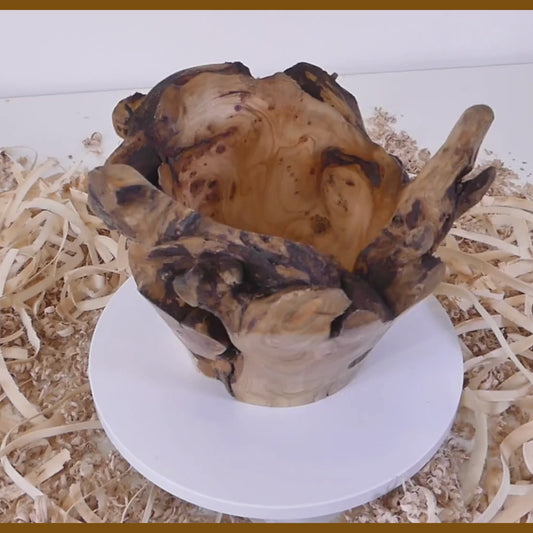 Tour, Bois et Chat. Pot tourné à la main en souche de thuya, finition huile de tung et cire. 3 pièces uniques disponibles. Fabrication artisanale en France.