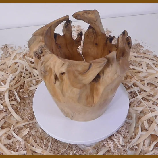 Tour, Bois et Chat. Pot tourné à la main en souche de thuya, finition huile de tung et cire. Fabrication artisanale en France.