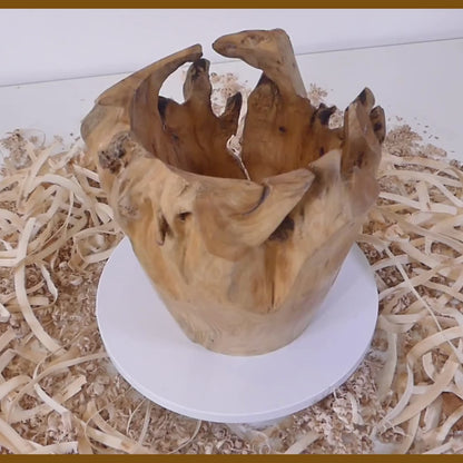 Tour, Bois et Chat. Pot tourné à la main en souche de thuya, finition huile de tung et cire. Fabrication artisanale en France.