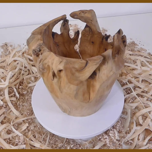 Tour, Bois et Chat. Pot tourné à la main en souche de thuya, finition huile de tung et cire. Fabrication artisanale en France.