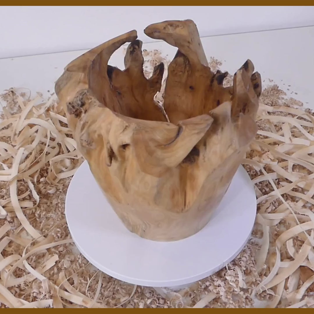 Tour, Bois et Chat. Pot tourné à la main en souche de thuya, finition huile de tung et cire. Fabrication artisanale en France.